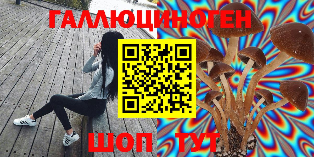 Галлюциногенные грибы мицелий  Галлюциногенные грибы GOLDEN TEACHER  Сарапул  Вход с VPN 
